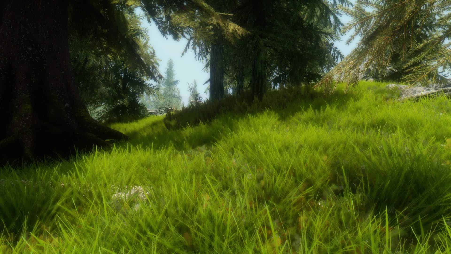 Green Grass For ENB Skyrim Mod Download Green Grass For ENB Skyrim Mod Download